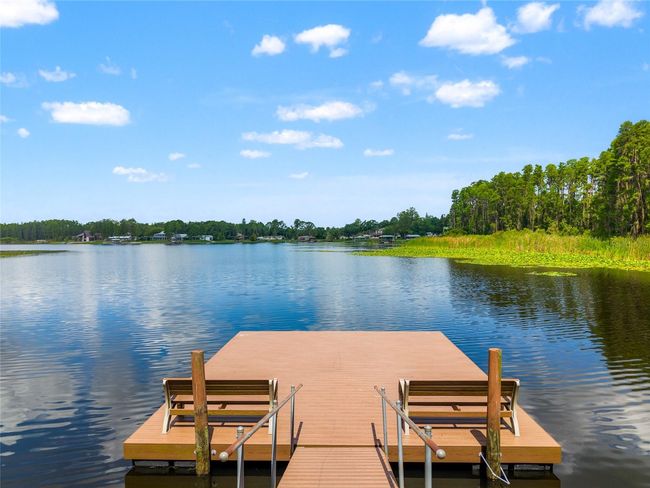 104 - 1936 Heron Cove Dr, Condo with 2 bedrooms, 2 bathrooms and null parking in Lutz FL | Image 48