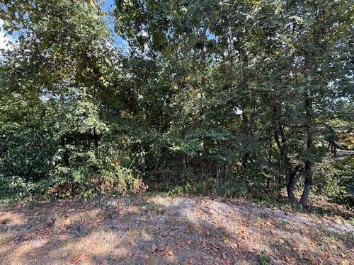 Lot 51 Seclusion Dr, Spokane, MO, 65754 | Card Image