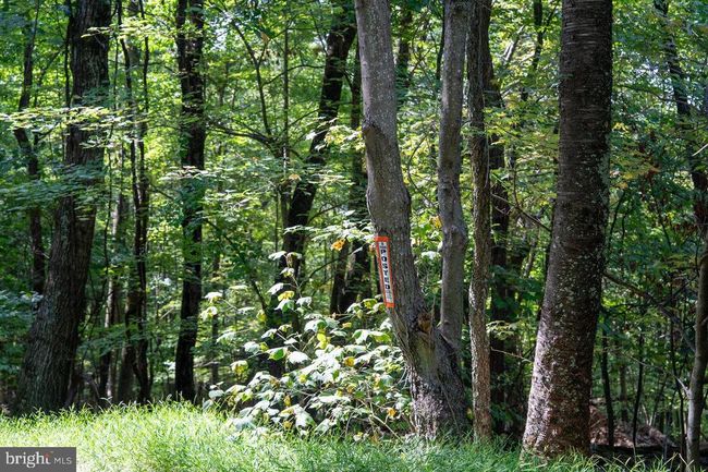 Lot 3 Price Ridge Rd, Home with 0 bedrooms, 0 bathrooms and null parking in STANLEY VA | Image 39