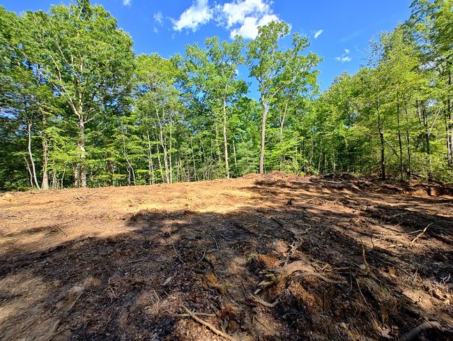 Lot 3 Megan Trace Ln, Home with 0 bedrooms, 0 bathrooms and null parking in Turtletown TN | Image 7
