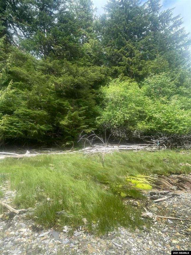 LOT-2-BLOCK-1 - NHN Legal Address Only, Home with 0 bedrooms, 0 bathrooms and null parking in Ketchikan AK | Image 18
