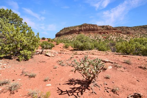 Lot 5A Unit 1 Vista Hermosa, Jemez Pueblo, NM, 87024 | Card Image