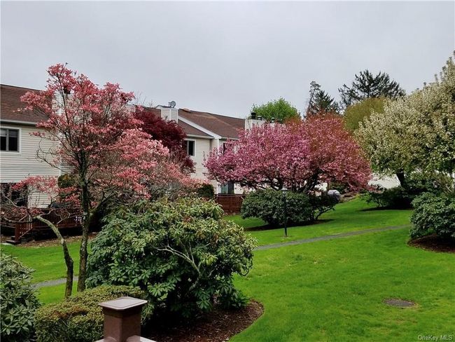 Another view of the yard | Image 30