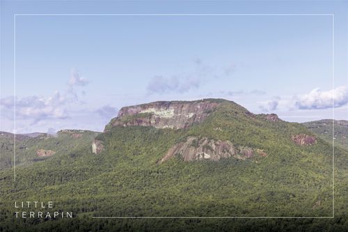 850 Little Terrapin Rd, Cashiers, NC, 28717 | Card Image