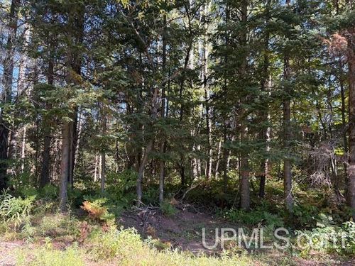 TBD Normandy Avenue, Ironwood, MI, 49938 | Card Image