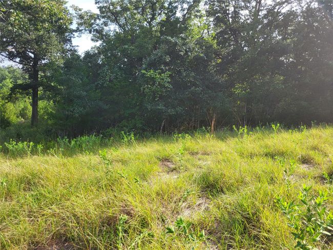 54313 Ridgecrest Cir, Home with 0 bedrooms, 0 bathrooms and null parking in Coldspring TX | Image 4