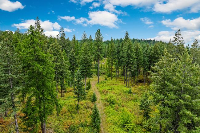 157 Pinto Trl, Home with 0 bedrooms, 0 bathrooms and null parking in Bigfork MT | Image 42