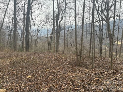 11-00 Country Club Dr, Whittier, NC, 28789 | Card Image