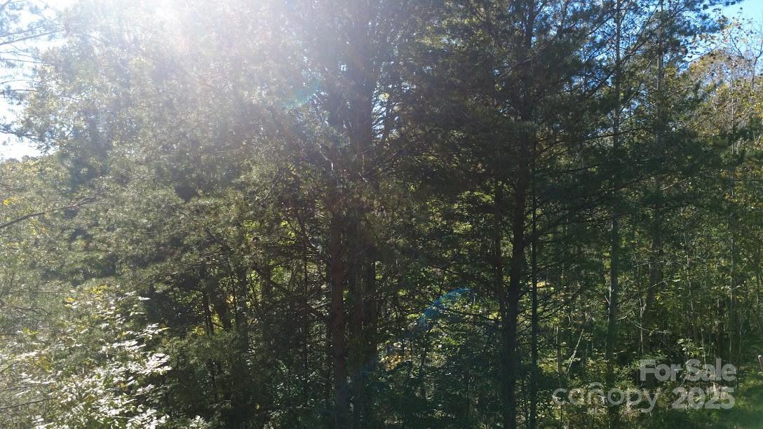 Land in Rutherfordton 5