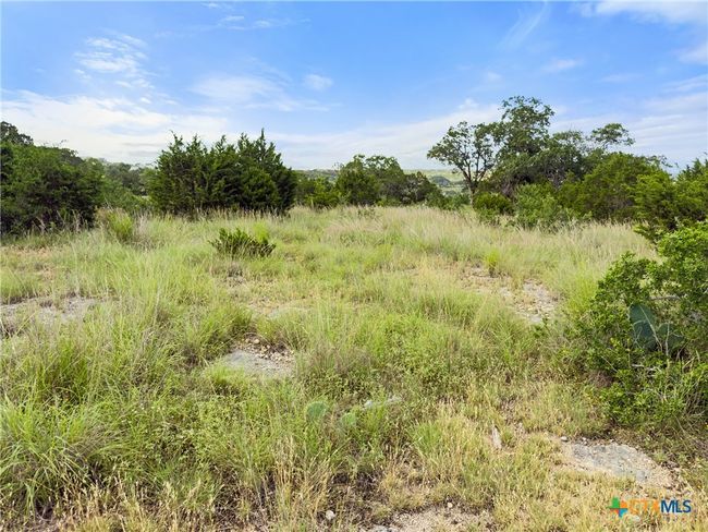 110 Enigma Ave, Home with 0 bedrooms, 0 bathrooms and null parking in Spring Branch TX | Image 7