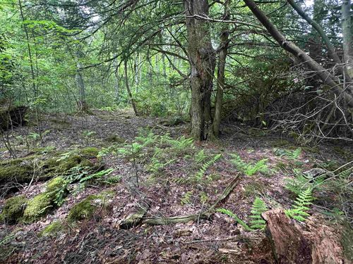 Lot 7 Tuscan Ridge Rd, Davis, WV, 26260 | Card Image