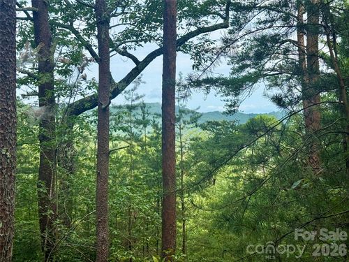 92-V/L Tahawus Drive, Bostic, NC, 28018 | Card Image
