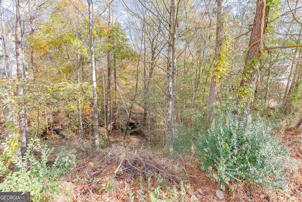 Land in Flowery Branch 3