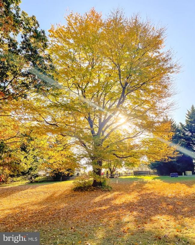 23565 Mount Chance Ct, House other with 4 bedrooms, 3 bathrooms and null parking in CLEMENTS MD | Image 52
