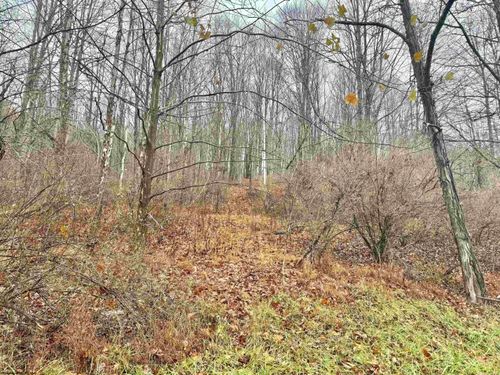 TBD Toms Run Rd, Walkersville, WV, 26447 | Card Image