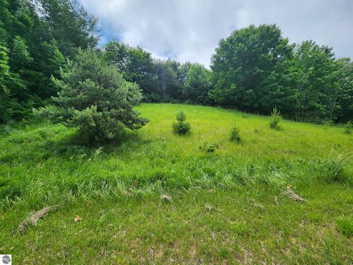 000 Deer Ridge Trl, Beulah, MI, 49617 | Card Image