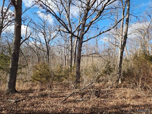 Lot 46 Block G Red Bud Drive, Catawissa, MO, 63015 | Card Image