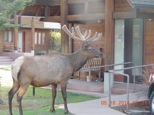 49-1565 Highway 66, Estes Park, CO, 80517 | Card Image
