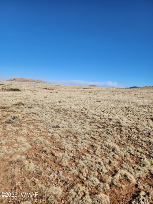 TBD 340, Concho, AZ, 85924 | Card Image
