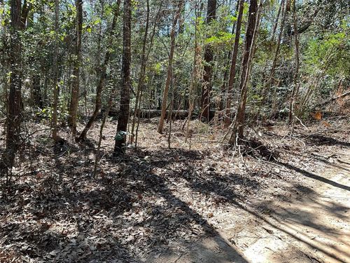 0 Road 2642, Thicket, TX, 77374 | Card Image