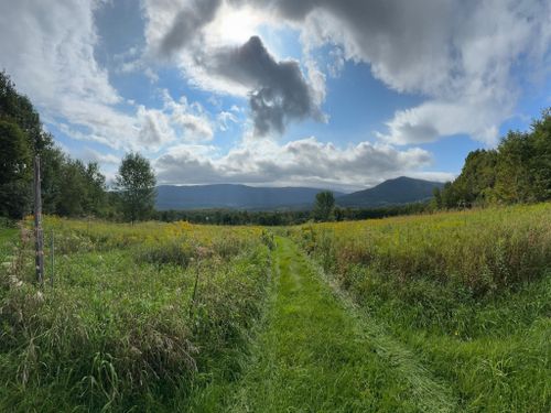 5 Staples Road, Danby, VT, 05739 | Card Image