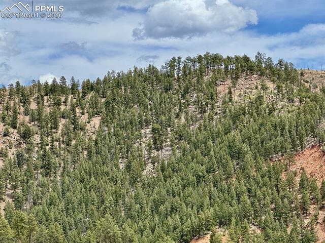 Land in Woodland Park 3