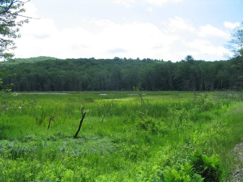 30 Old Stoddard Rd, Nelson, NH, 03457-5601 | Card Image