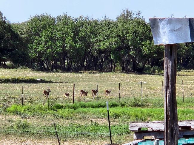 9286 County Road 2335, House other with 3 bedrooms, 2 bathrooms and 2 parking in Menard TX | Image 45