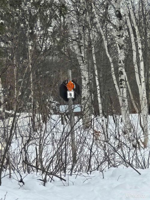 TBD Electric Park Road, Calumet, MI, 49913 | Card Image