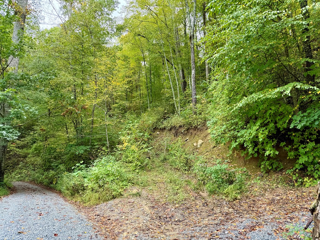 Land in Glenville 4