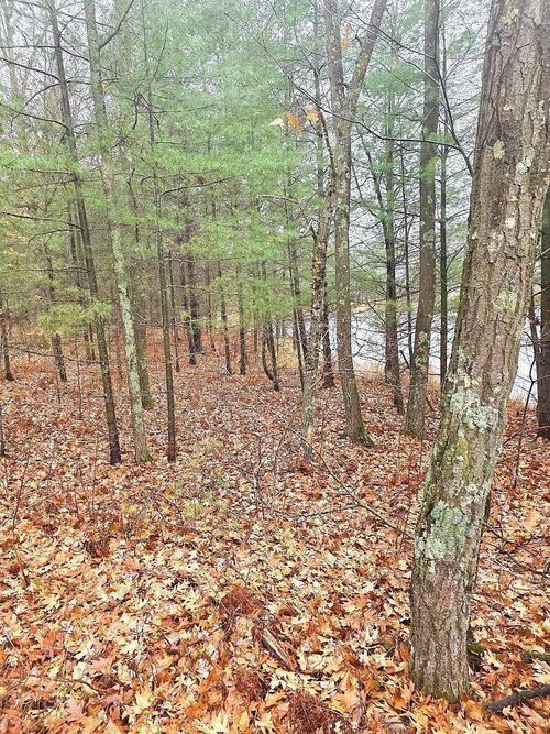 2391 40th St, Cumberland, WI, 54829-9371 | Card Image