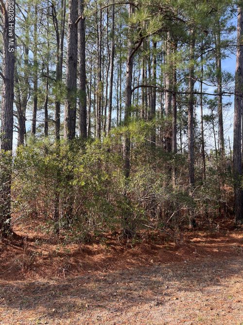 9406 Old Salem Way Nw, Calabash, NC, 28467 | Card Image