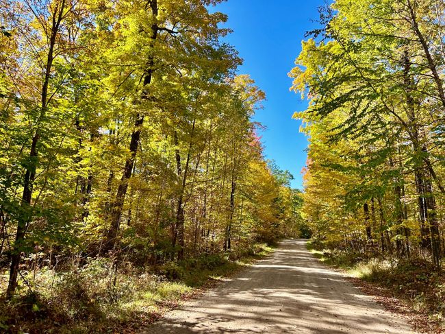 501 Arbutus Rd, House other with 2 bedrooms, 2 bathrooms and 2 parking in Pickerel WI | Image 10