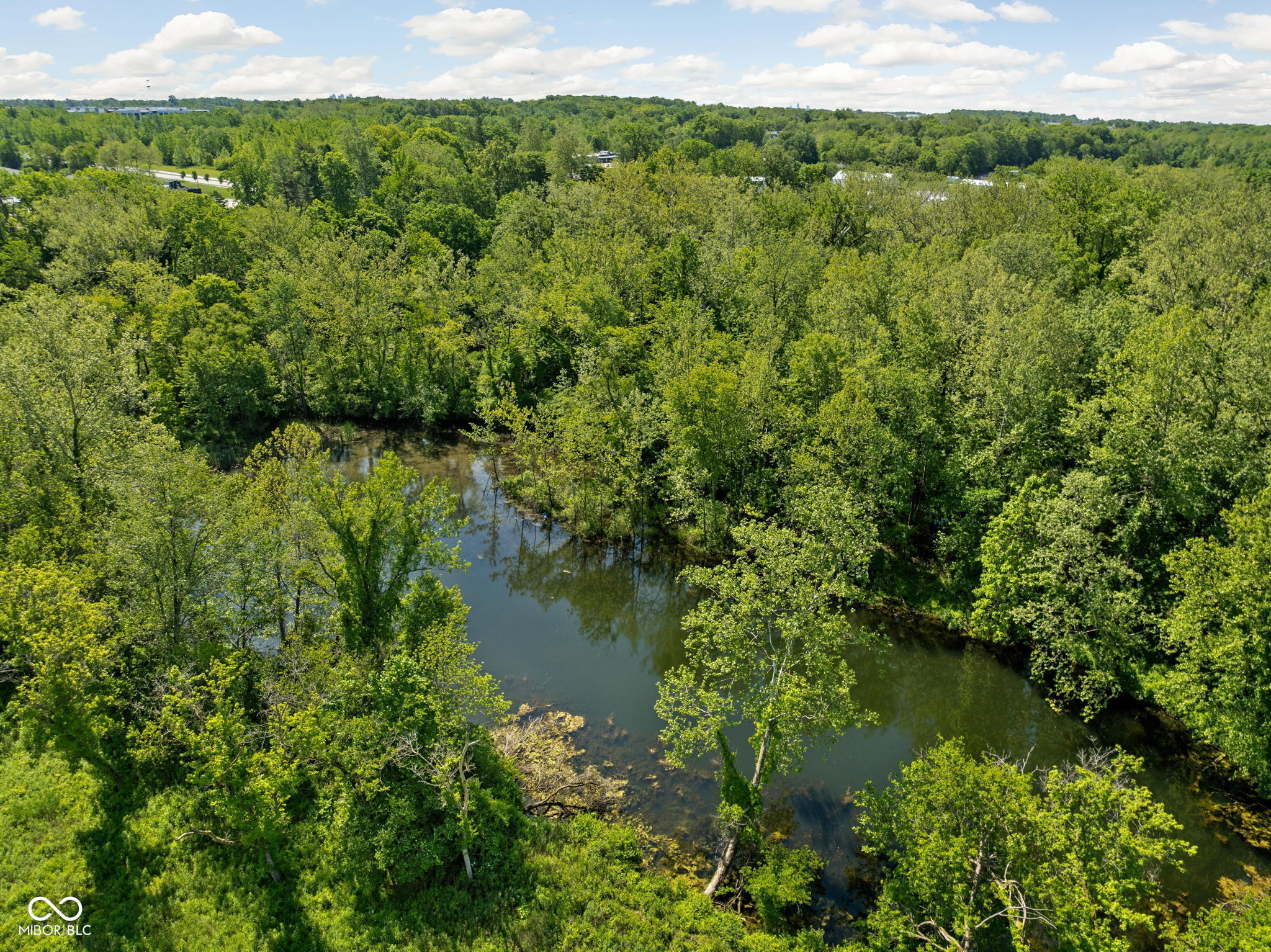 Land in Zionsville 5