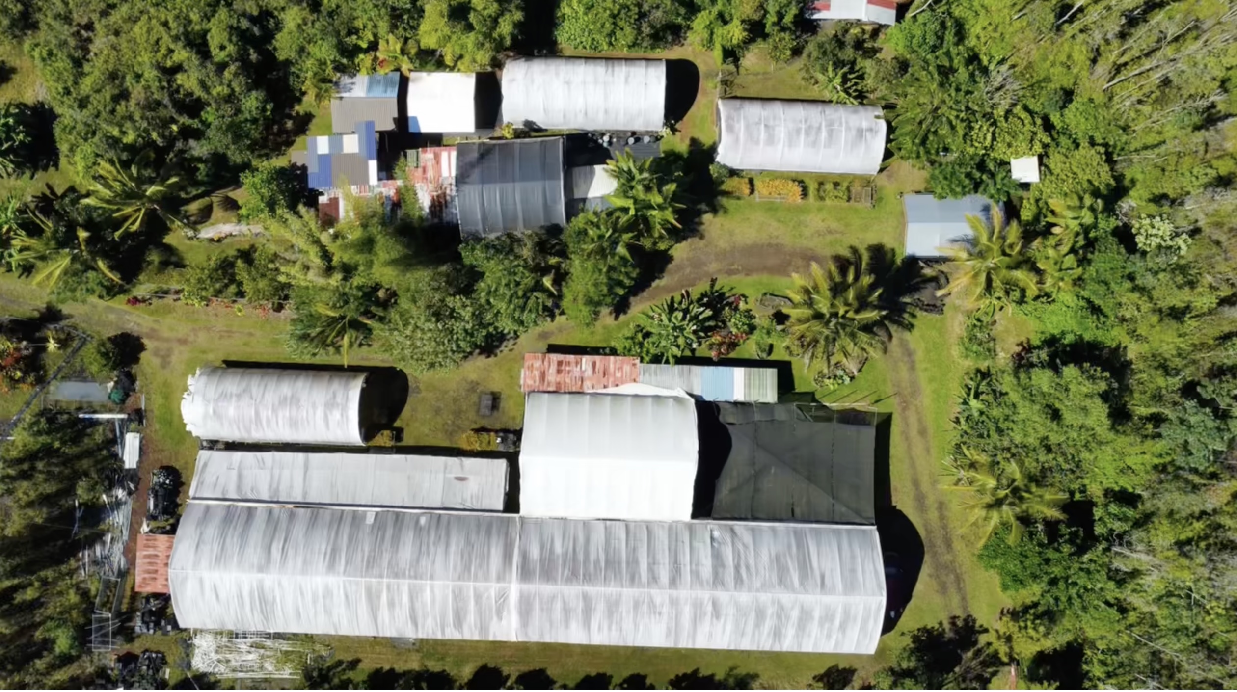 Land in Pahoa 2