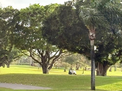 409-8900 Washington Blvd, Pembroke Pines, FL, 33025-1500 | Card Image