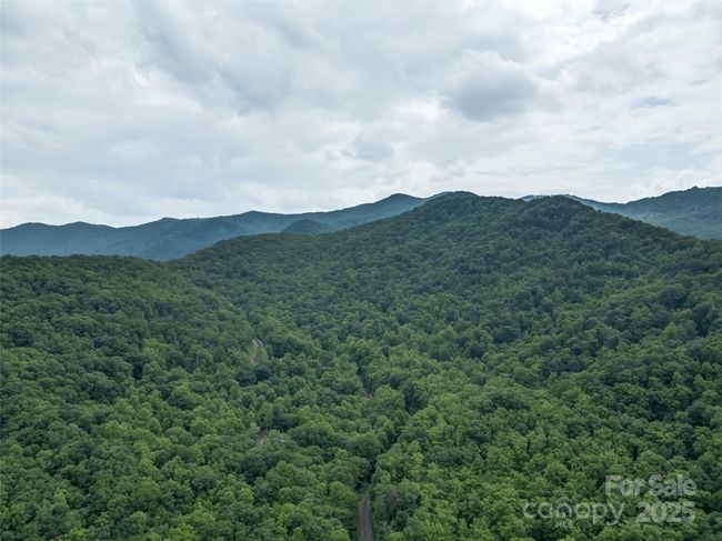 000 White Rock Branch Rd, Home with 0 bedrooms, 0 bathrooms and null parking in Candler NC | Image 32