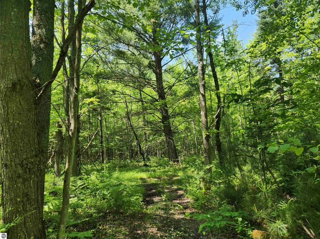 2867 Folks Rd Ne, Home with 0 bedrooms, 0 bathrooms and null parking in Kalkaska MI | Image 17