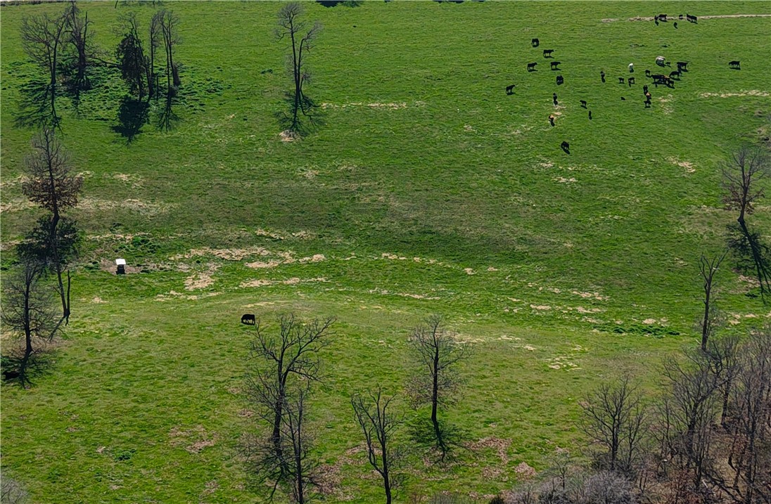 Land in Hindsville 5