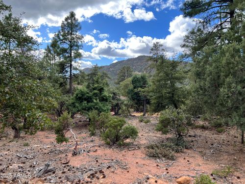 108-108 Ruin Hill Loop, Pine, AZ, 85544 | Card Image