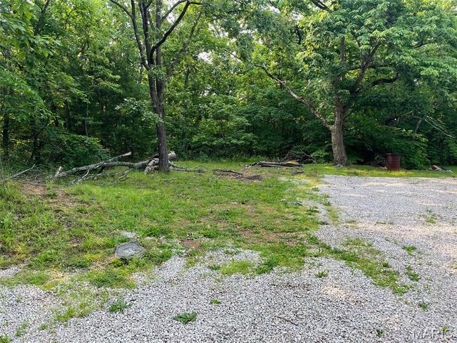 View of yard with a view of trees | Image 16