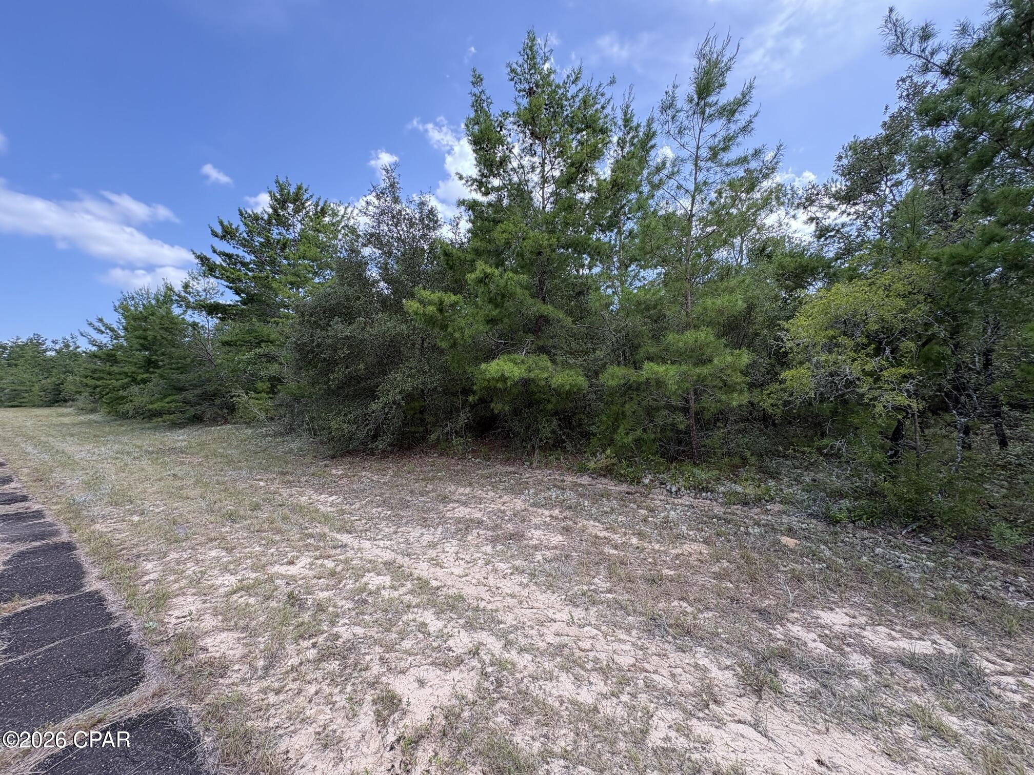 Land in Chipley 2