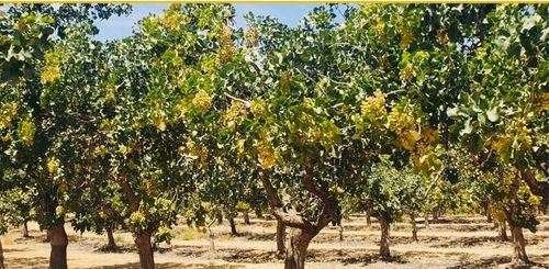 27 Lake St, Madera, CA, 93638 | Card Image