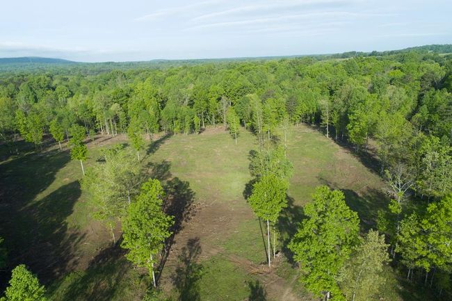 40.46AC Barker Cove Loop, Home with 1 bedrooms, 1 bathrooms and null parking in Palmer TN | Image 23