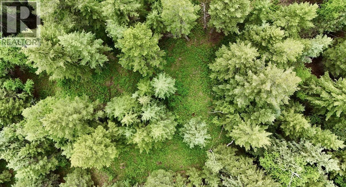 Land in Williams Lake 5