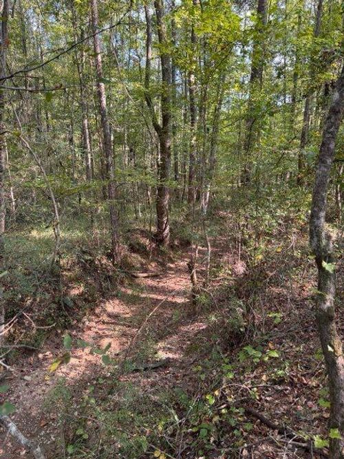 0 County Road 30, Berry, AL, 35546 | Card Image