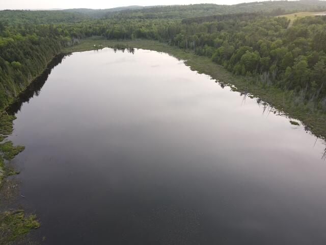 Land in Sebec 4