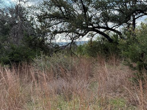 28-L28 Lipan Apache Run, Blanco, TX, 78606 | Card Image