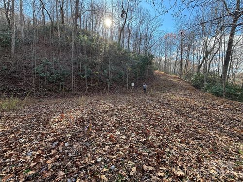 OFF Houston Farm Road, Bryson City, NC, 28713 | Card Image