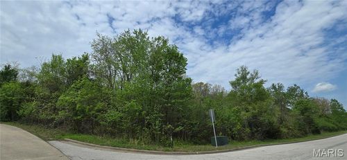LOT 1&2 Epple-Fricke Drive, Hermann, MO, 65041 | Card Image